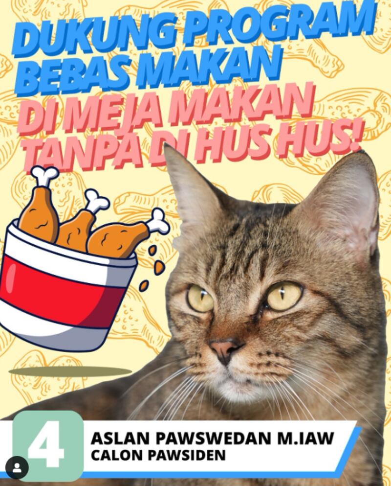 ID-ANIES-cat-pic.png
