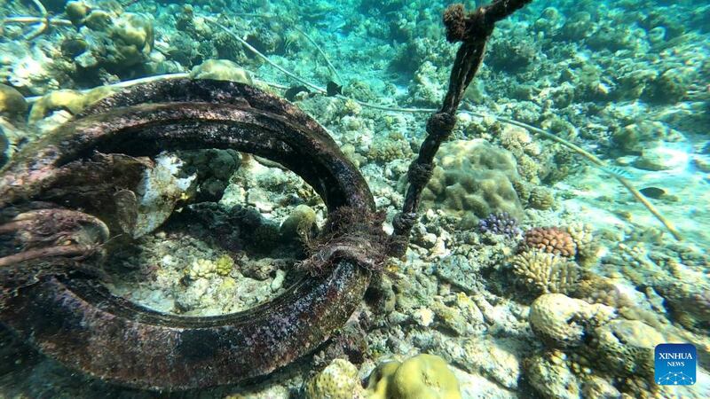 PH-reef-2.jpg