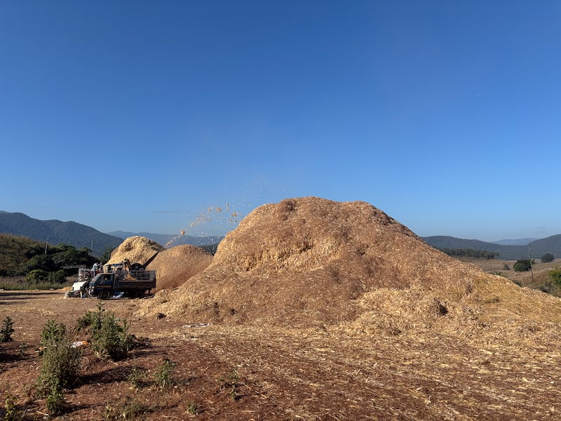 TH-northern-burning-season-03.jpg
