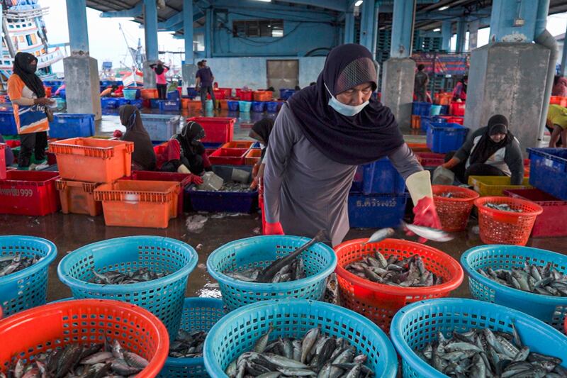 TH-fish-ss2 09-muslim-women-pattani.jpg
