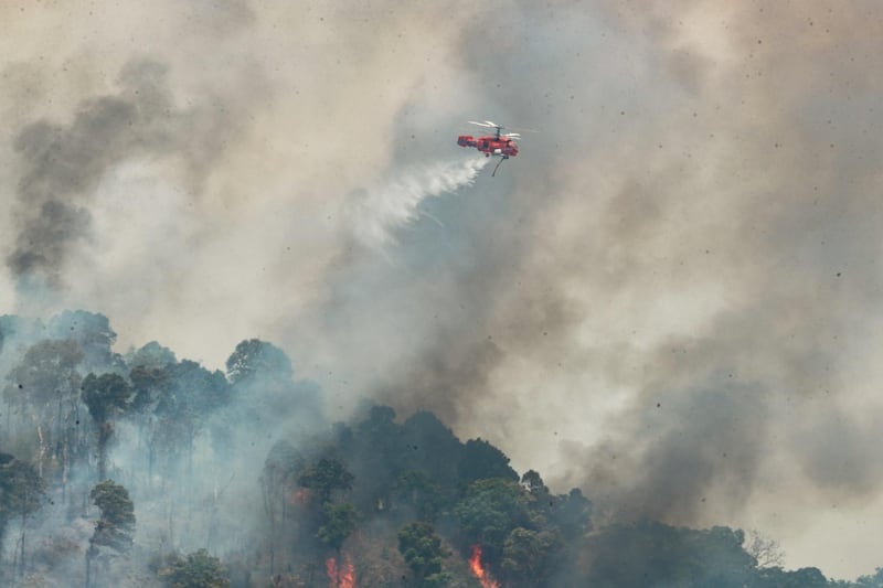 TH-northern-burning-season-05.jpg